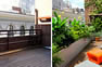 Gardening and planting specialists for gardens in new york city