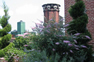 Rooftop gardens landscaping