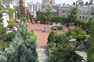 shrubs and trees in rooftop planter gardens.