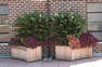 Custom planter boxes built to your needs and specifications