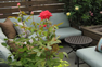 flowers furniture and patio designs