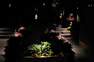 low-voltage lighting for garden pathways