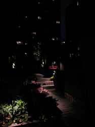 Accent landscape lighting designs