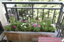 terrace flower plantings