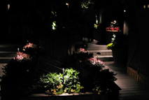 specialty outdoor landscape lighting