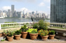 view of Manhattan from Brooklyn