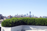 Flowers overlooking the city